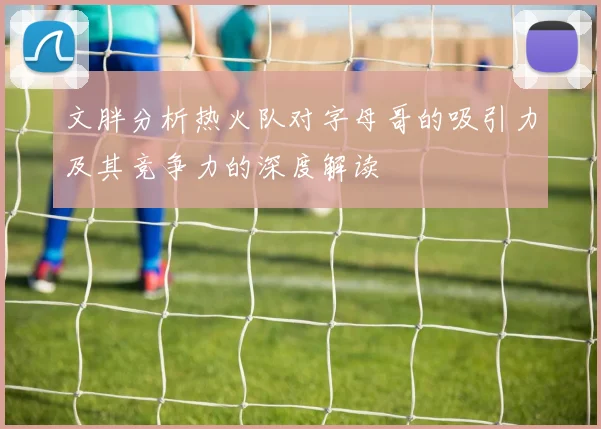 文胖分析热火队对字母哥的吸引力及其竞争力的深度解读