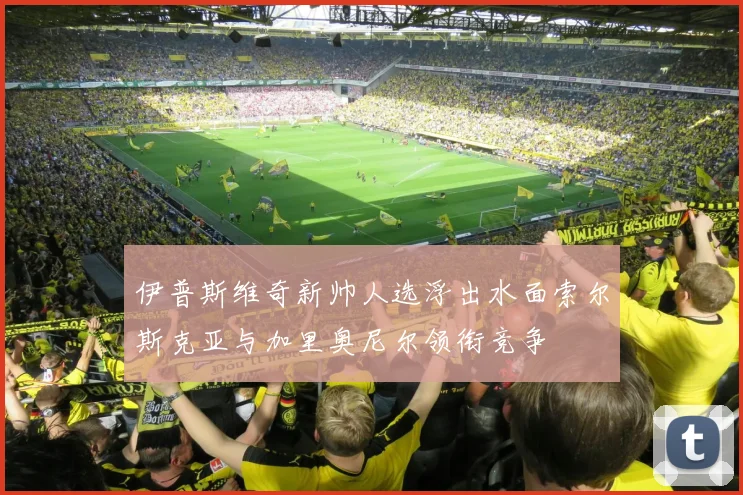 伊普斯维奇新帅人选浮出水面索尔斯克亚与加里奥尼尔领衔竞争