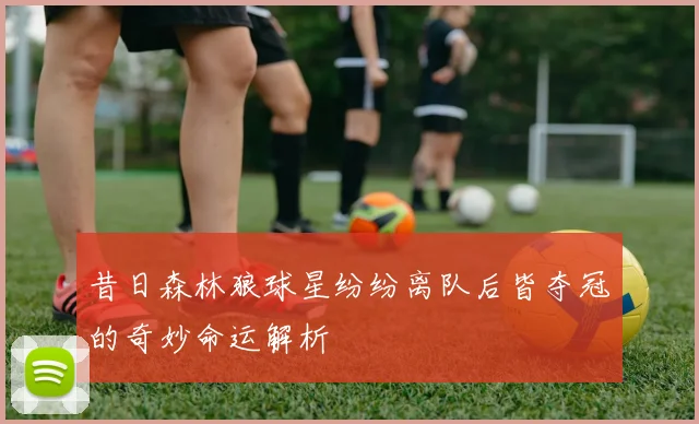 昔日森林狼球星纷纷离队后皆夺冠的奇妙命运解析
